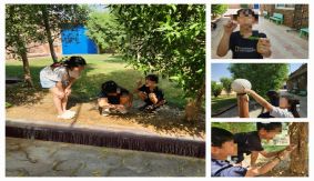 4학년 과학-동물들의 흔적을 찾아서